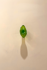 Hanging Wall Hooks (Green & Clay)
