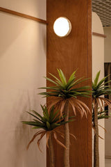 Faux Plant — Large